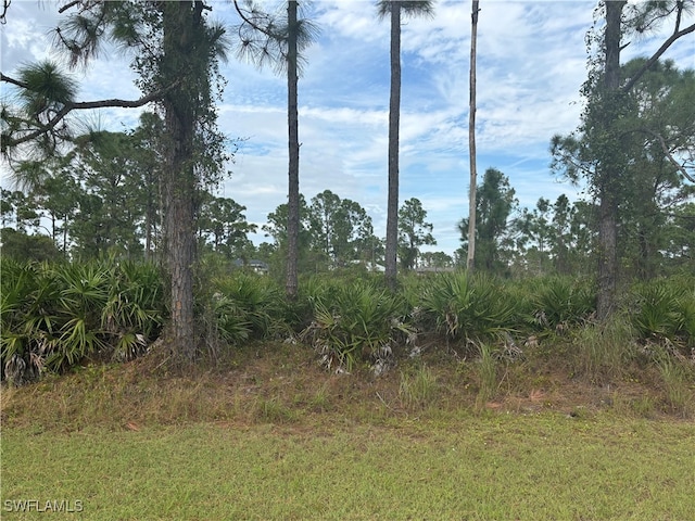 1151 Dutchess St E, Lehigh Acres FL, 33974 land for sale