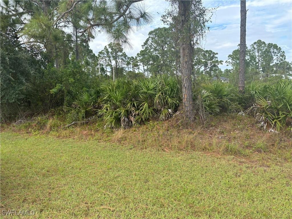 1151 Dutchess St E, Lehigh Acres, FL 33974