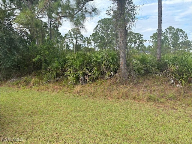 1151 Dutchess St E, Lehigh Acres, FL 33974