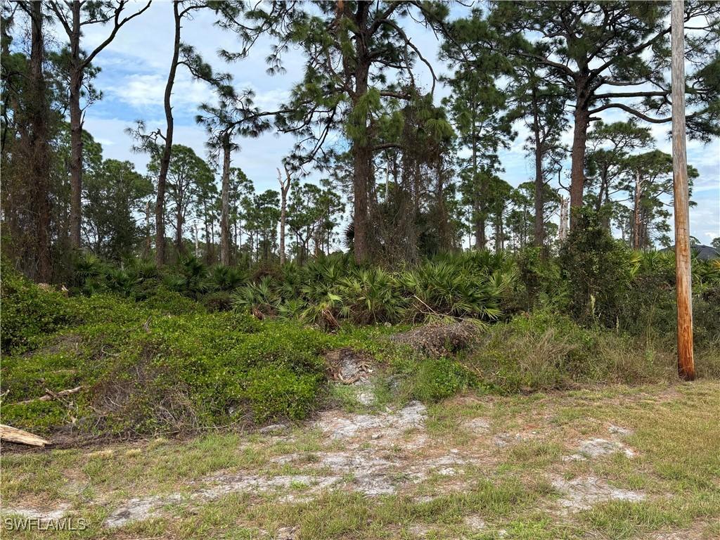 925 Barton St E, Lehigh Acres, FL 33974