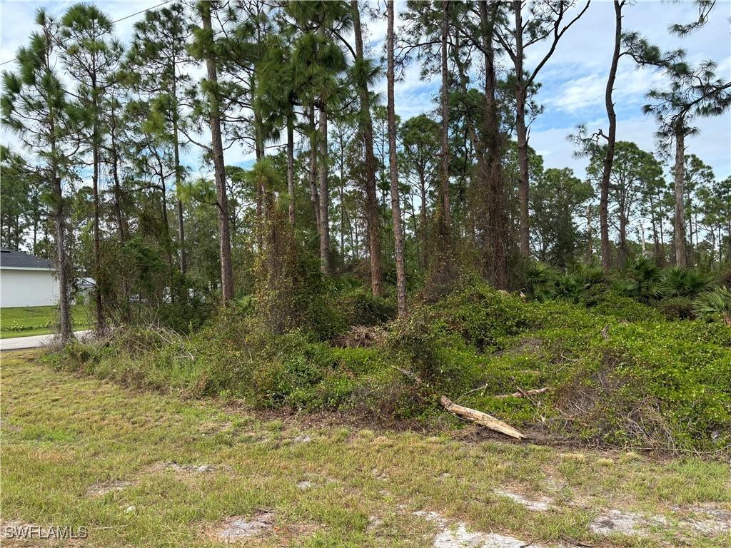 925 Barton St E, Lehigh Acres, FL 33974