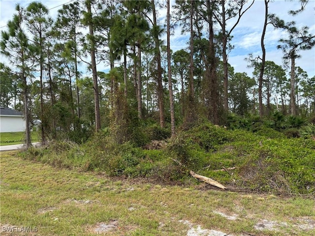 925 Barton St E, Lehigh Acres, FL 33974