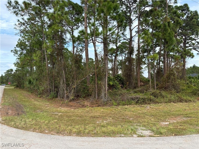 Listing photo 3 for 925 Barton St E, Lehigh Acres FL 33974