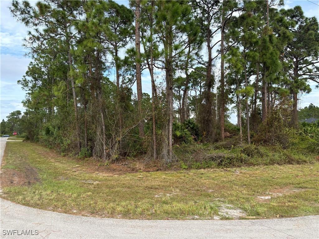 925 Barton St E, Lehigh Acres, FL 33974