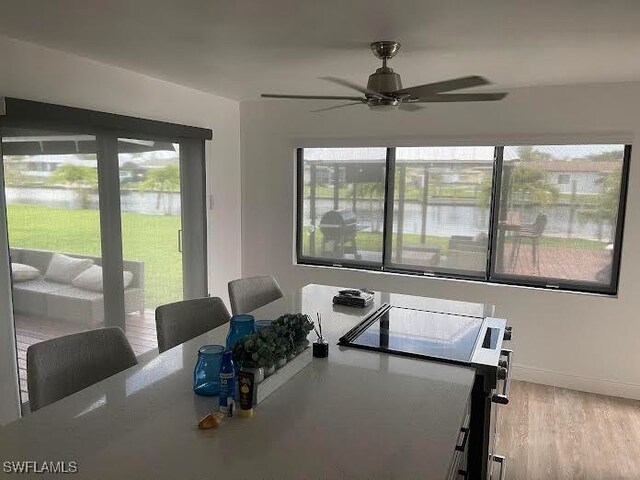 dining room featuring ceiling fan and light wood-type flooring