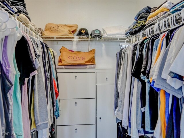 view of spacious closet