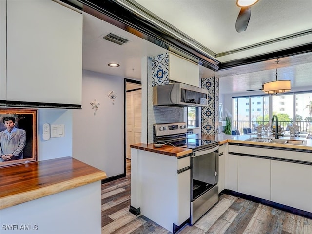 kitchen featuring white cabinets, stainless steel electric range, sink, and wood-type flooring