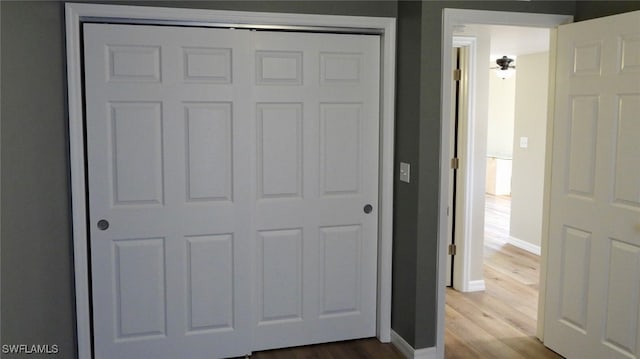 interior space with a closet and wood-type flooring