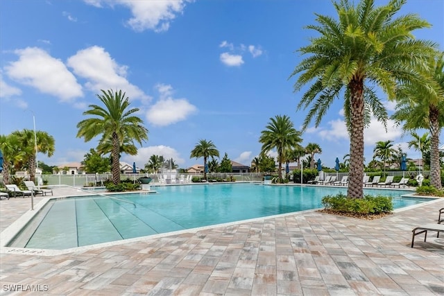 view of swimming pool with a patio