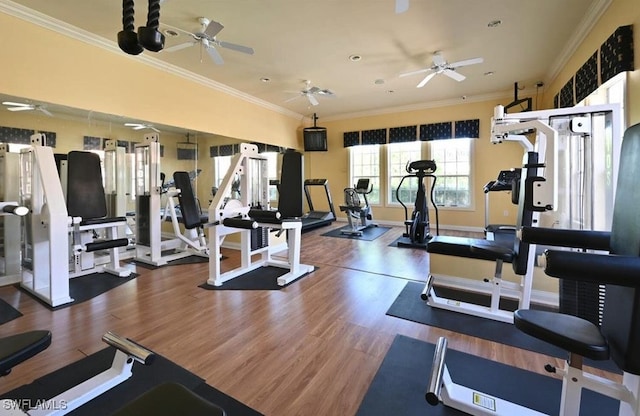 exercise room featuring dark wood-type flooring and crown molding