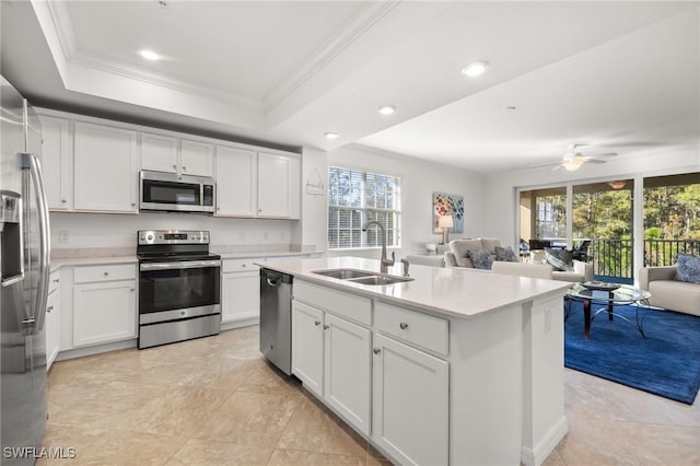 kitchen featuring appliances with stainless steel finishes, a tray ceiling, white cabinetry, and sink