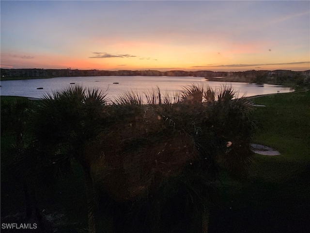 view of water feature