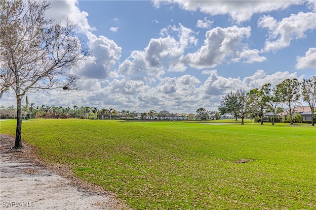 view of community with a yard