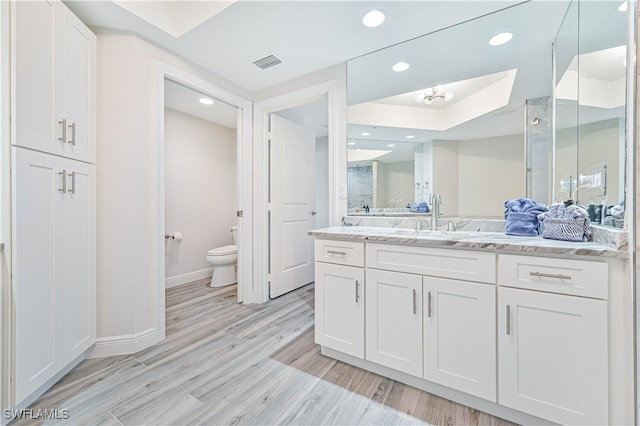 bathroom with vanity, wood-type flooring, toilet, and walk in shower