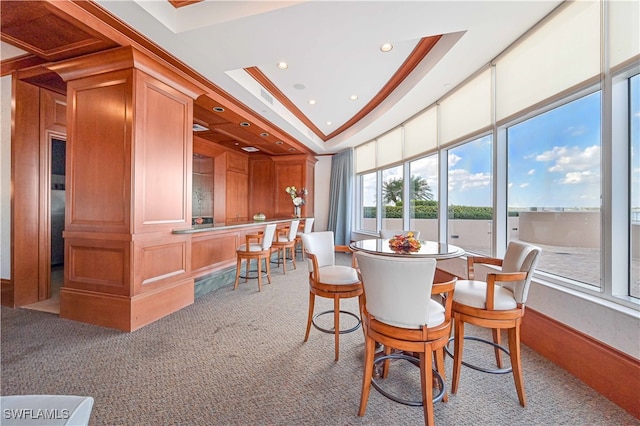 carpeted dining area featuring a raised ceiling