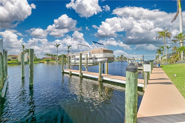 dock area with a water view