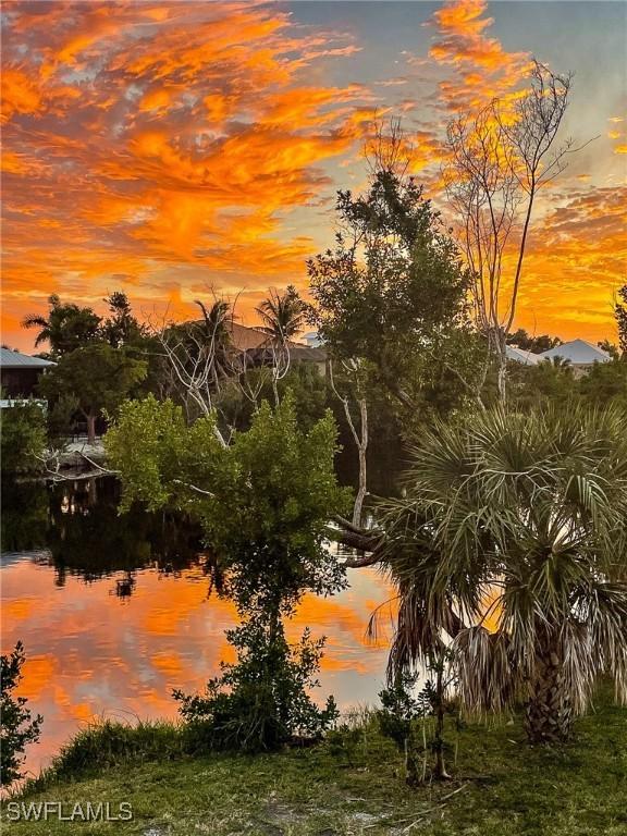 nature at dusk with a water view