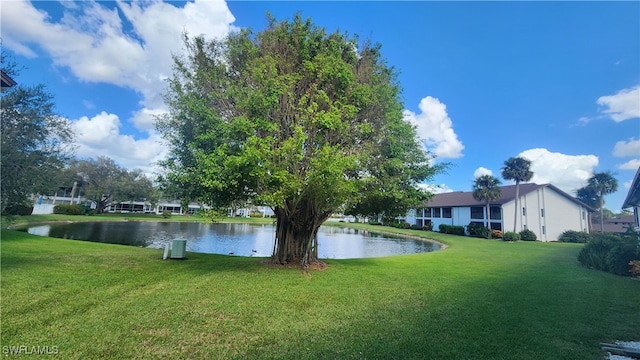 view of yard featuring a water view