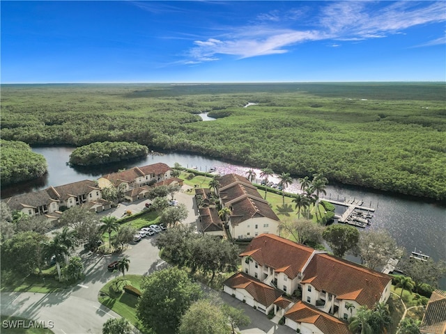 aerial view featuring a water view