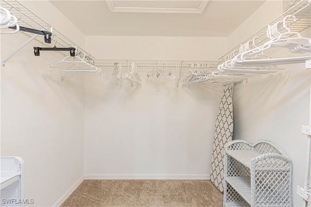 spacious closet with carpet