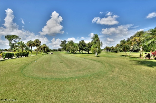 view of property's community featuring a lawn