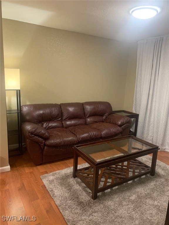 living room featuring light hardwood / wood-style floors