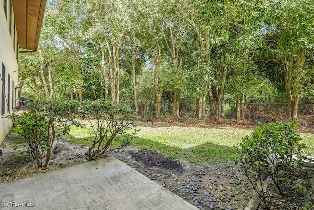 view of yard featuring a patio area