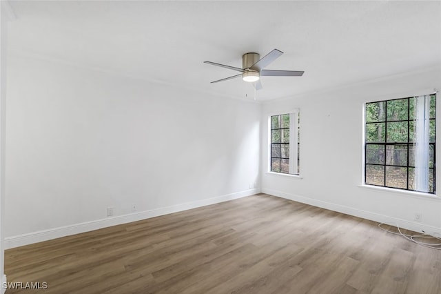 spare room with crown molding, wood-type flooring, and ceiling fan