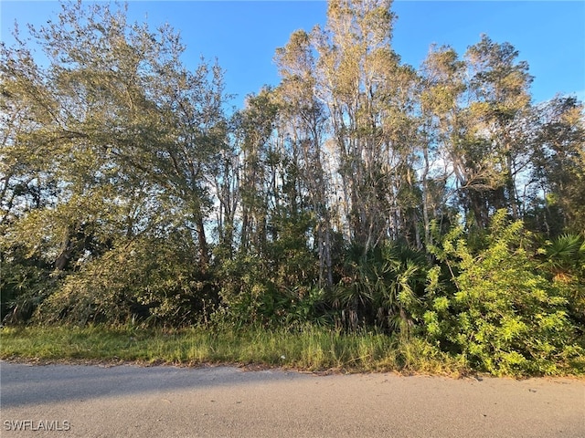 3402 39th St SW, Lehigh Acres FL, 33976 land for sale