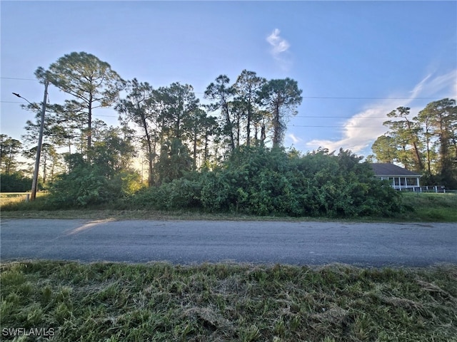 242 Callaway Ave S, Lehigh Acres FL, 33974 land for sale