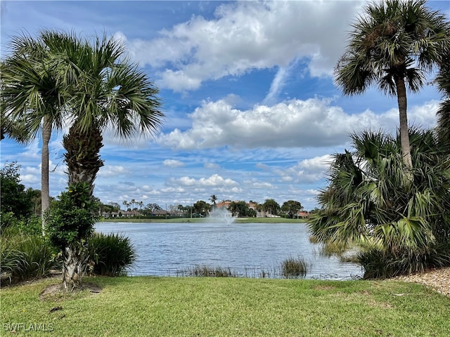 property view of water