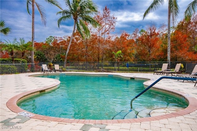 view of pool featuring a patio area