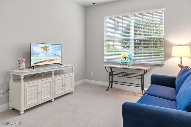 sitting room featuring light carpet