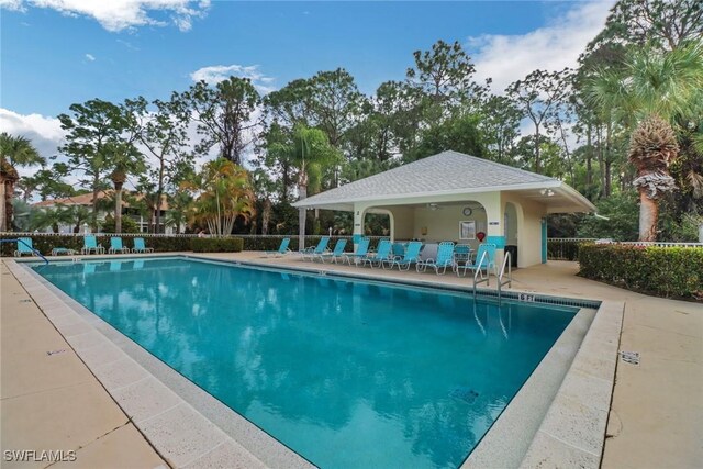 view of swimming pool featuring a patio