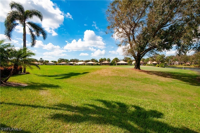 view of home's community with a lawn