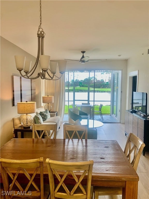 dining space with light hardwood / wood-style flooring and ceiling fan with notable chandelier