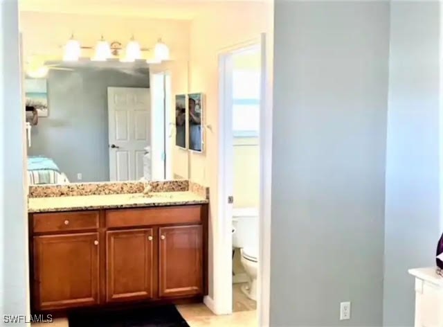 bathroom with toilet and vanity