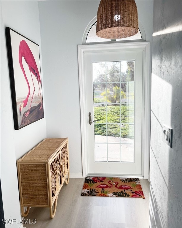 doorway to outside with wood-type flooring and plenty of natural light