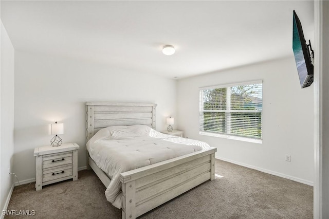 bedroom with baseboards and carpet flooring