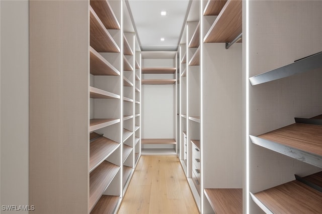 spacious closet with light wood-type flooring