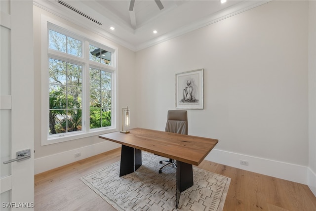 office featuring light hardwood / wood-style floors, crown molding, and ceiling fan