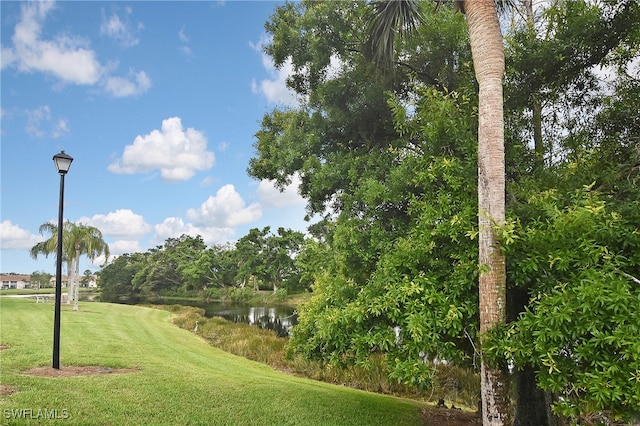 view of community with a water view and a yard