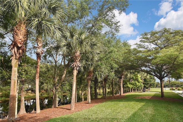 view of property's community featuring a water view and a lawn