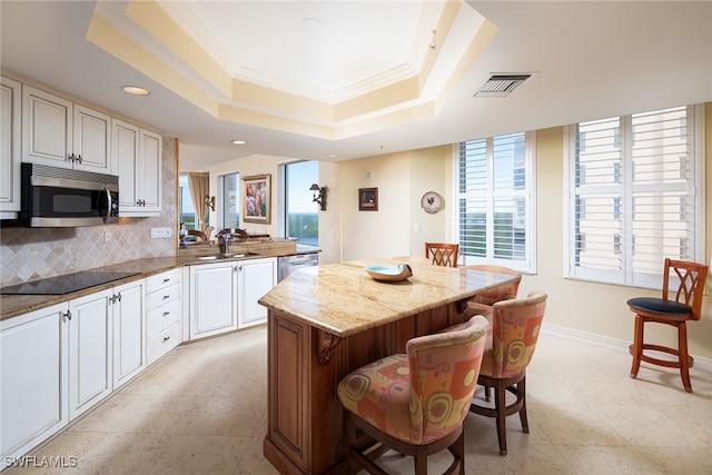 kitchen with a tray ceiling, stainless steel appliances, a wealth of natural light, and a kitchen breakfast bar