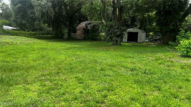 view of yard with a storage unit