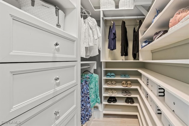 view of walk in closet