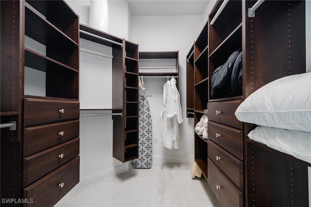 spacious closet with light carpet