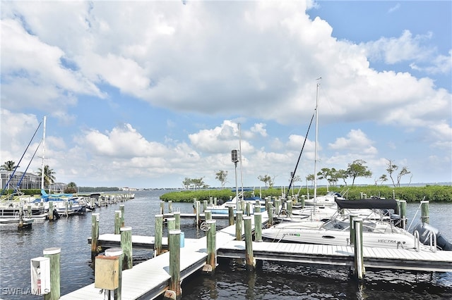 dock area featuring a water view