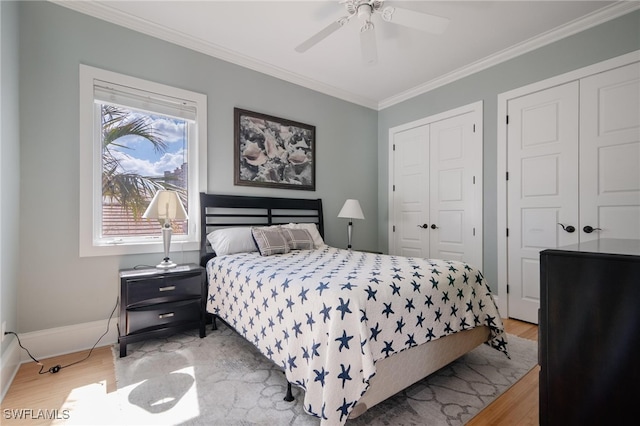 bedroom with crown molding, two closets, light wood-type flooring, and ceiling fan