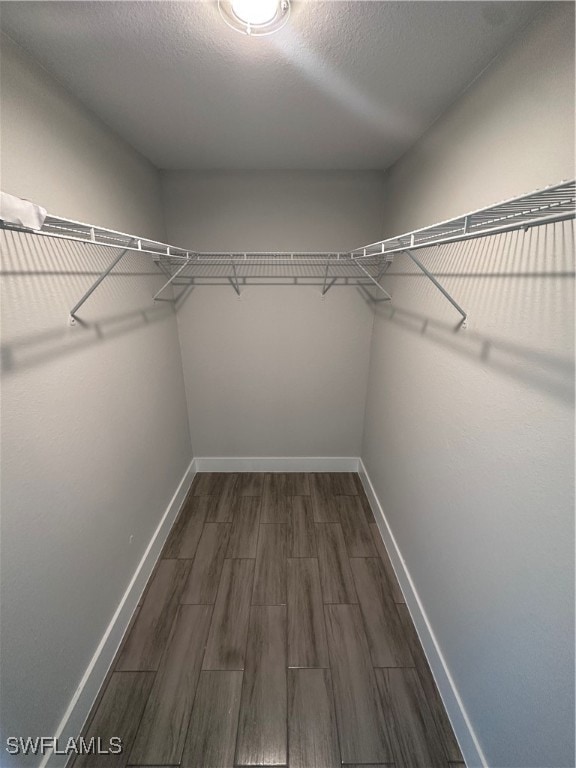 spacious closet featuring dark hardwood / wood-style floors